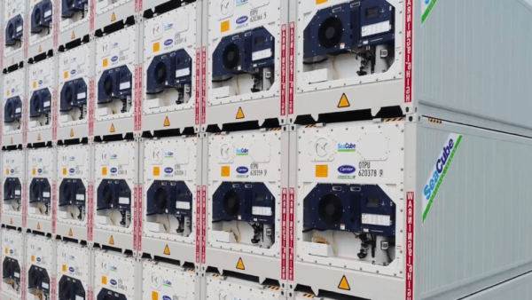 Sale Unit Reefer Container